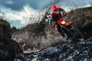 现役nba公牛队队员，nba公牛队成员？